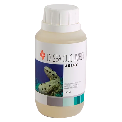 Sea Cucumber Jelly