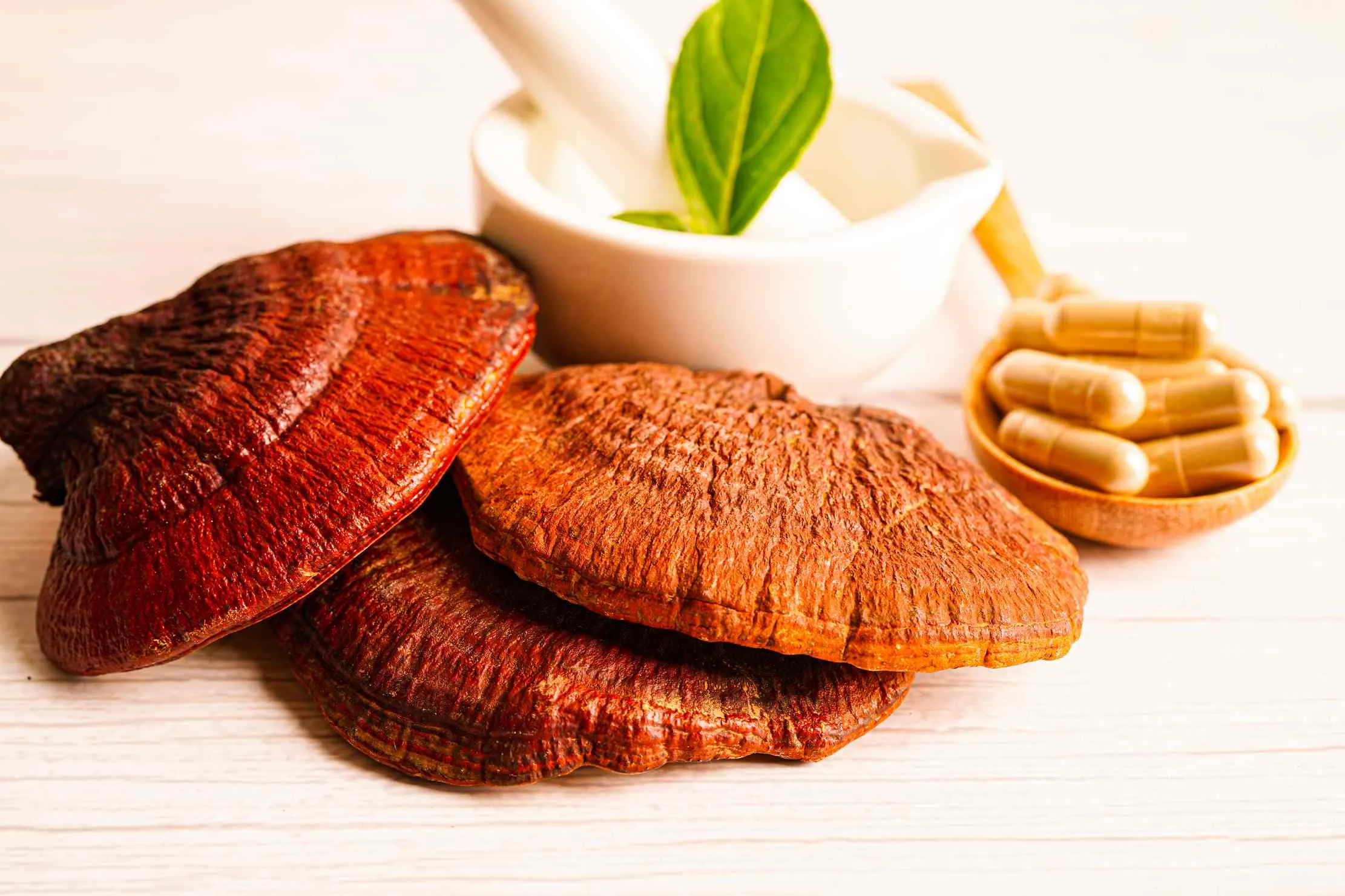 Whole and sliced Lingzhi (Ganoderma lucidum) mushrooms next to capsules — modern Reishi supplements alongside their traditional source